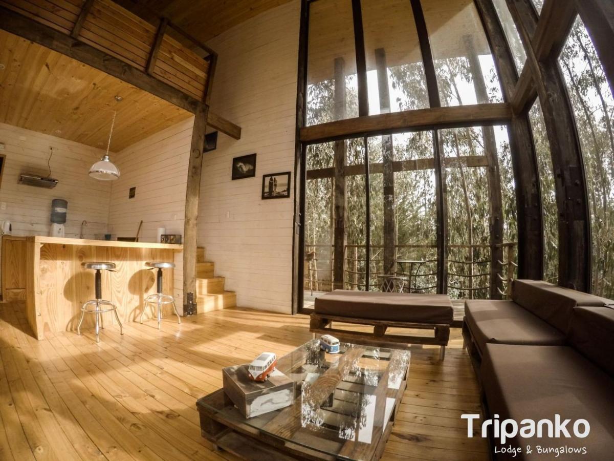 Tripanko Lodge & Bungalows ปิชิเลมู ภายนอก รูปภาพ