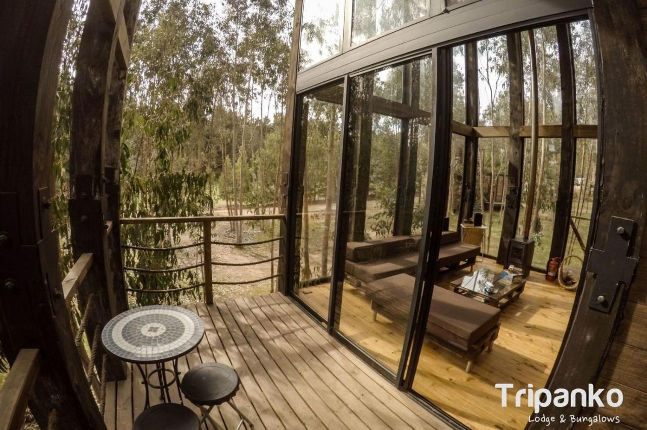 Tripanko Lodge & Bungalows ปิชิเลมู ภายนอก รูปภาพ