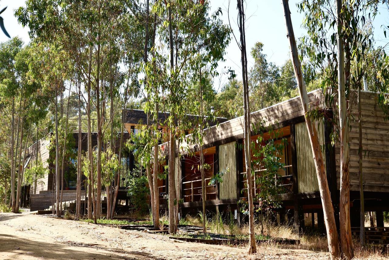 Tripanko Lodge & Bungalows ปิชิเลมู ภายนอก รูปภาพ